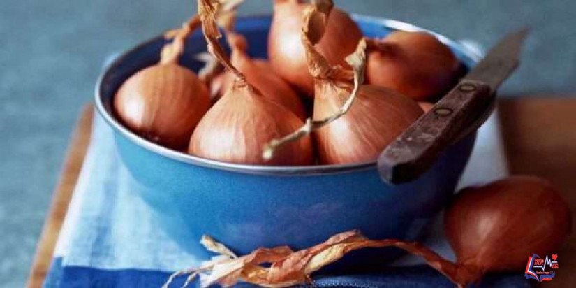 فوائد البصل للبرد وما فوائد وضع البصل اسفل القدم ؟