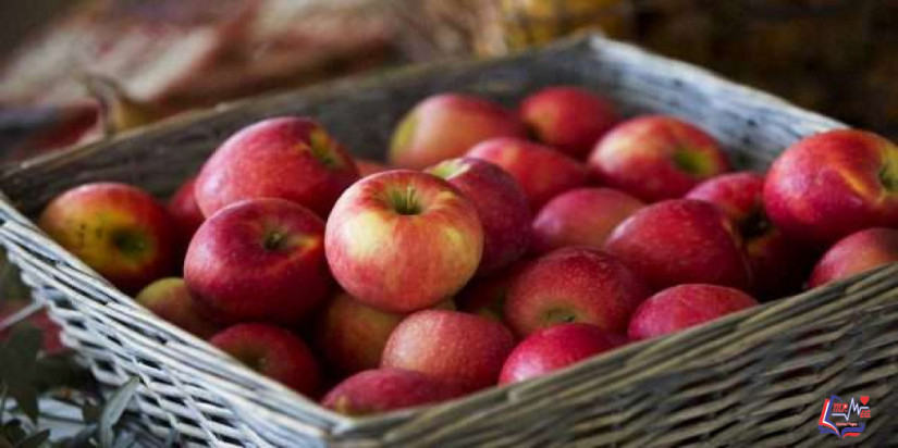 السعرات الحرارية في التفاح وقيمته الغذائية