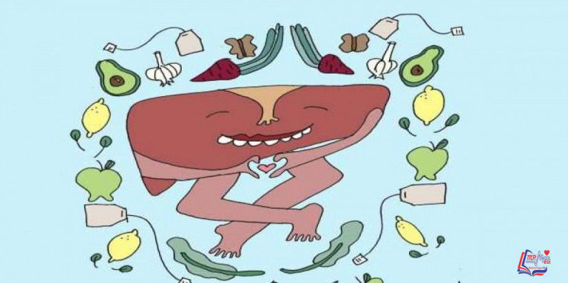 الأطعمة المفضلة للكبد