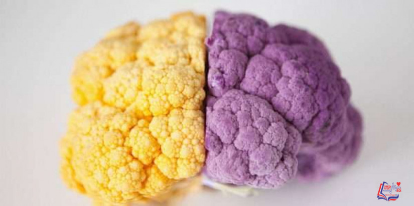 الأطعمة المفضلة للمخ