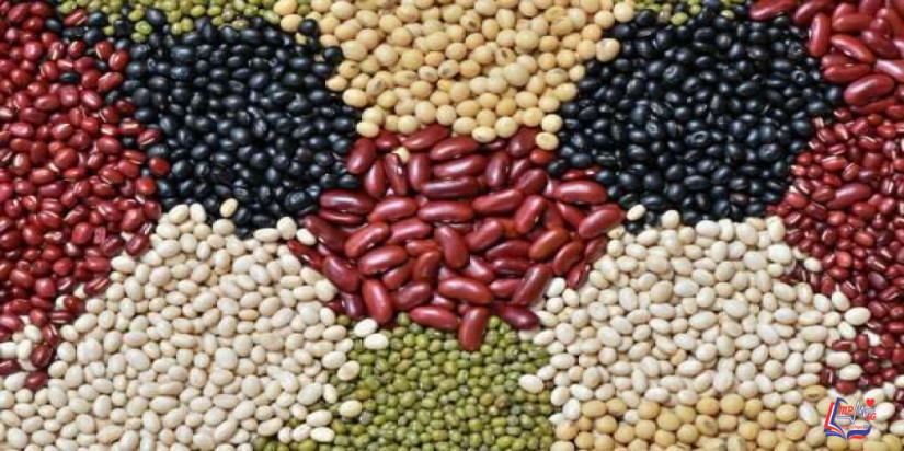 السعرات الحرارية في البقوليات بأنواعها.. ملف شامل