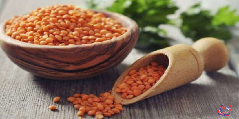 فوائد العدس الصحية في ملف شامل