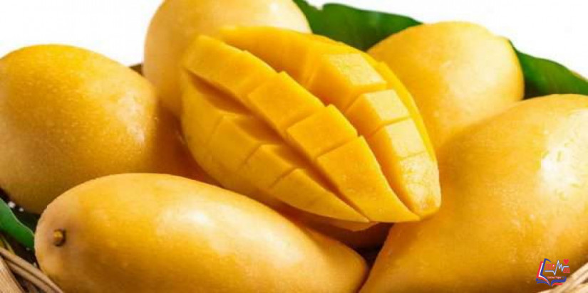 اضرار المانجو .. احذر حساسية المانجو وهذه المخاطر المحتملة