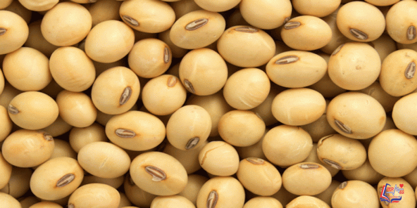 فوائد فول الصويا الصحية المذهلة