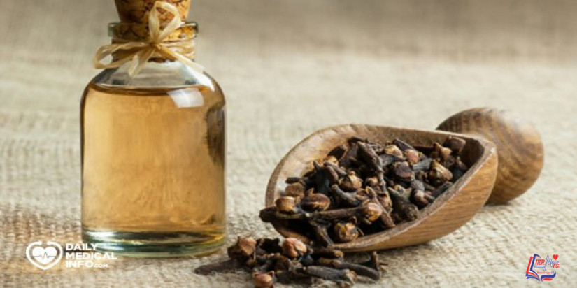 فوائد القرنفل وزيت القرنفل وأضراره