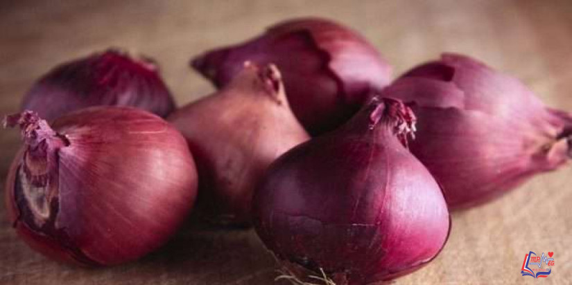 فوائد البصل الأحمر وتأثيره على نظامك الغذائي