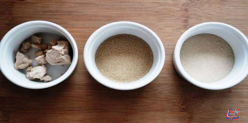 زيادة الوزن بالخميرة وقيمتها الغذائية.. ولماذا تُسمى بخميرة البيرة؟