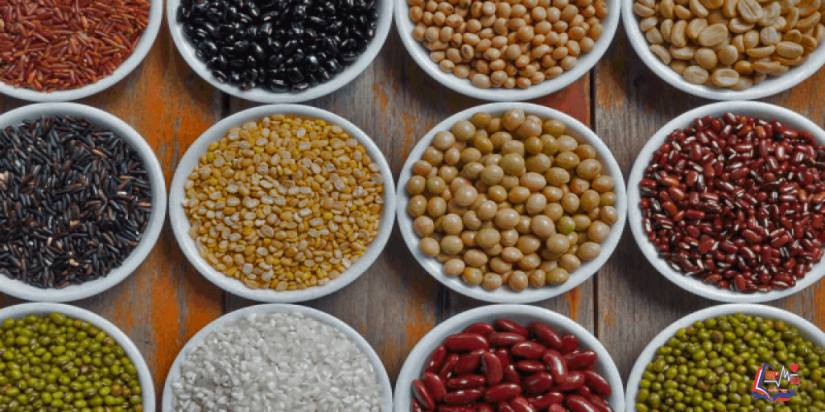 النظام الغذائي لمرضى الصفراء .. ماذا تأكل وماذا تتجنب؟