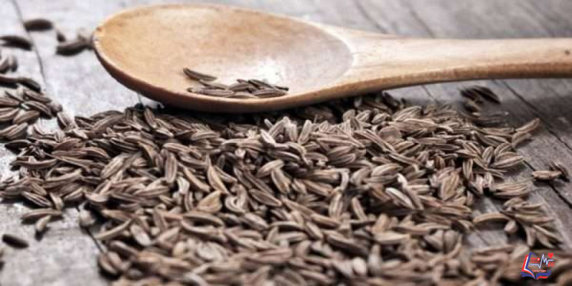 فوائد الكراوية للتخسيس .. تخفض مؤشر كتلة الجسم ومستوى الدهون