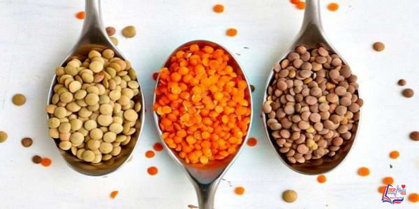 العدس والرجيم .. كيف يمكن أن يساعد العدس في إنقاص الوزن؟