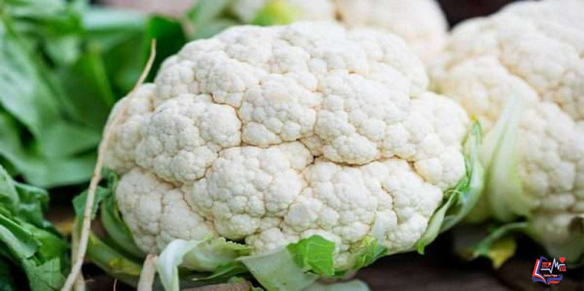 القرنبيط والرجيم .. عناصر غذائية مهمة تعزز فقدان الوزن والتخلص من الكرش