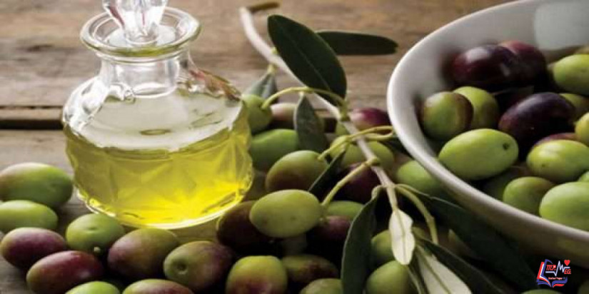الزيتون والرجيم .. قيمة غذائية مرتفعه وتخسيس صحي