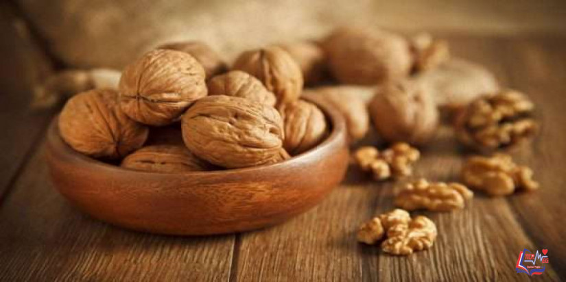 فوائد الجوز للرجيم .. وكيفية الاستفادة من فوائد عين الجمل للرجيم