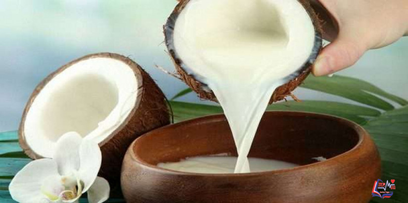 فوائد حليب جوز الهند للتخسيس .. ونصائح للاستفادة منه في نظامك الغذائي