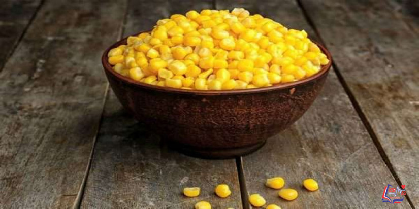 الذرة والرجيم .. كيف تساعد الذرة في إنقاص الوزن؟ والقيم الغذائية في الذرة