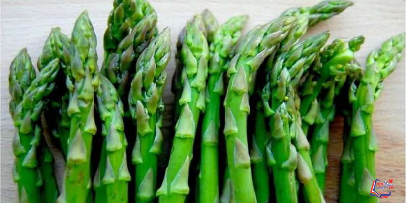 فوائد الهليون للرجيم الصحي.. ولكن احذر هذه الآثار الجانبية