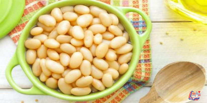 فوائد الفاصوليا البيضاء للرجيم .. بقوليات غنية بالمغذيات لتخسيس فعال