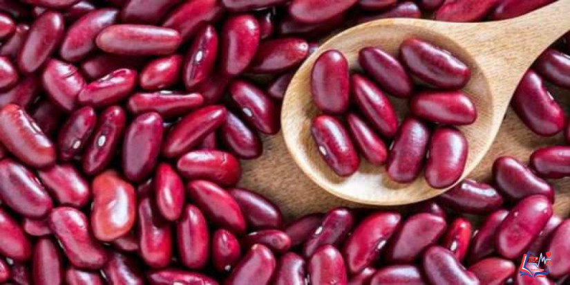 فوائد الفاصوليا الحمراء للرجيم الناجح .. ولكن احذر الإفراط في تناولها
