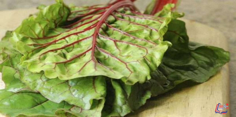 فوائد السلق للرجيم .. يقلل من خطر السمنة ويساهم في انخفاض الوزن