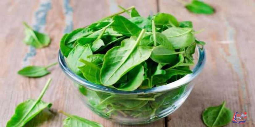 فوائد السبانخ للرجيم .. وجبة متكاملة للصحة و فقدان الوزن الزائد