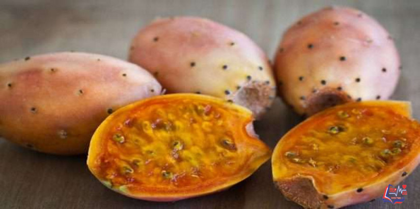 التين الشوكي والرجيم .. ما هي فوائده لإنقاص الوزن والوقاية من السرطان؟