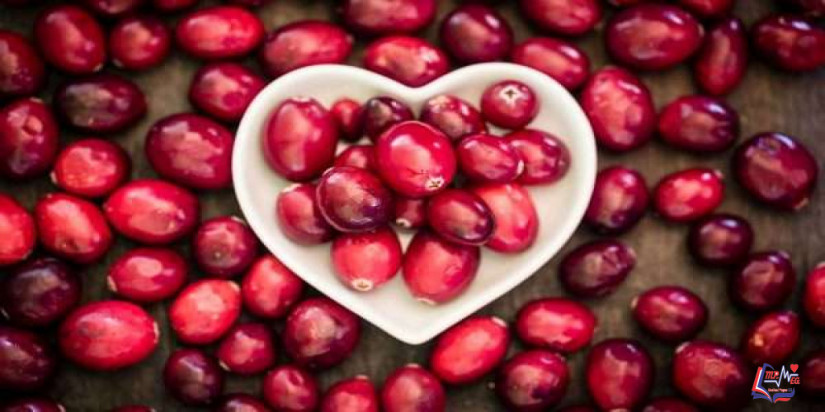 فوائد التوت البري للتخسيس .. وفوائد عصير التوت البري لإنقاص الوزن