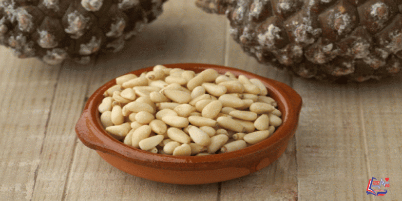 فوائد الصنوبر الصحية وفوائد أخرى لزيت الصنوبر