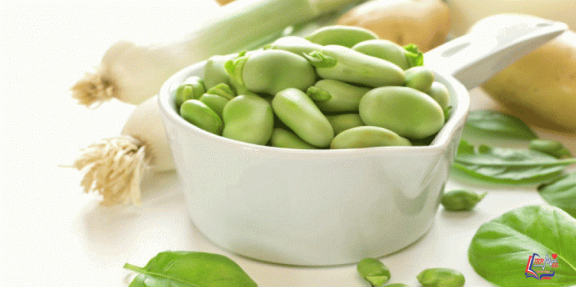 فوائد الفول الاخضر لمرضى السكري وللتخسيس