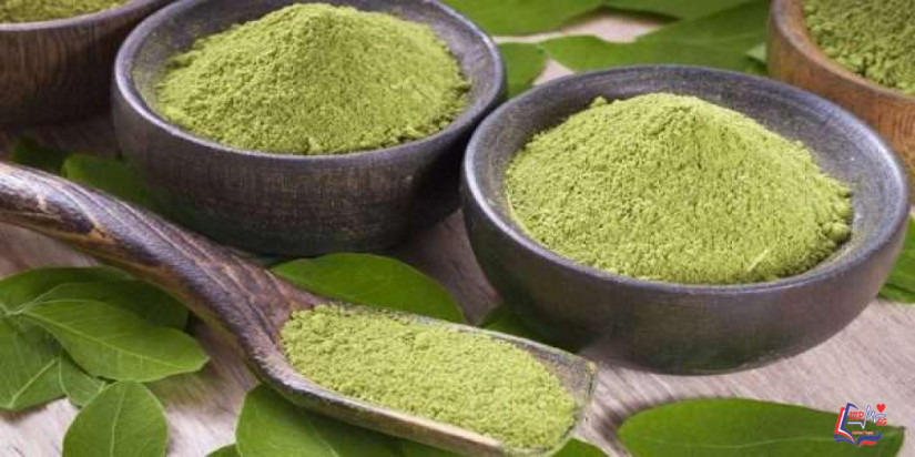 فوائد المورينجا للصحة وللوقاية من الأمراض