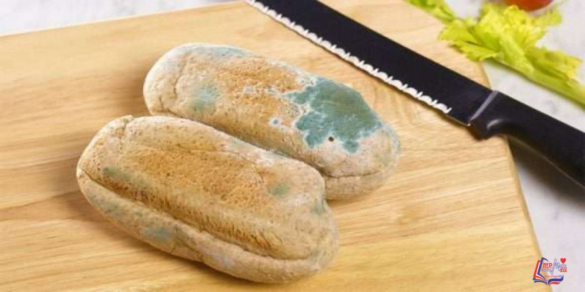 فوائد عفن الخبز للصحة..لن تصدق فوائده للوقاية من الأمراض!