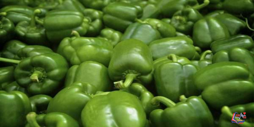 فوائد الفلفل الاخضر البارد والحار.. للمرأة الحامل وللرجيم