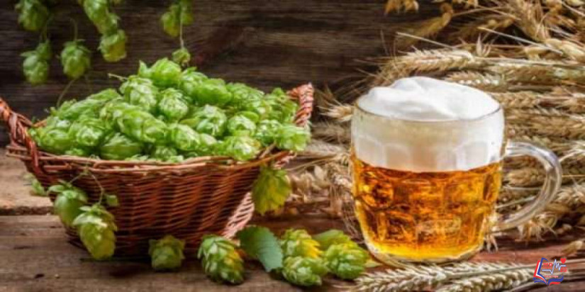 فوائد مشروب الشعير الصحية والجمالية وطرق تحضيره