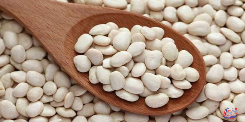 فوائد الفاصوليا البيضاء للصحة و طريقة تحضيرها