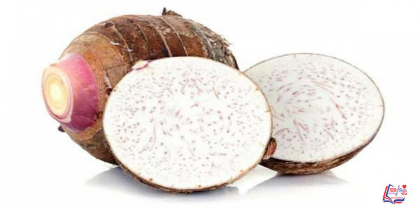 فوائد القلقاس الصحية المذهلة وفوائد أخرى للوقاية من الأمراض