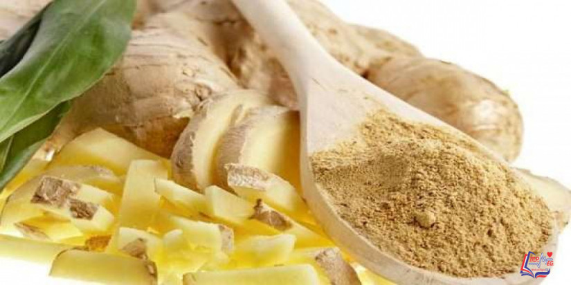 فائدة الزنجبيل التي لا يمكن إنكارها والأمراض التي يعالجها