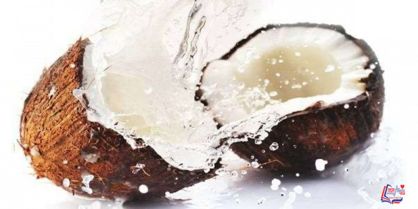 فوائد تناول جوز الهند والزنجبيل والأفوكادو والليمون كل يوم