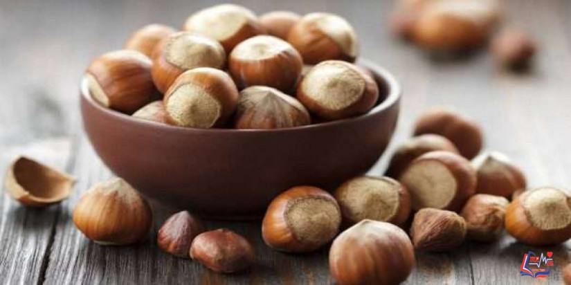 فوائد البندق الصحية .. أشهى المكسرات حضوراً على المائدة