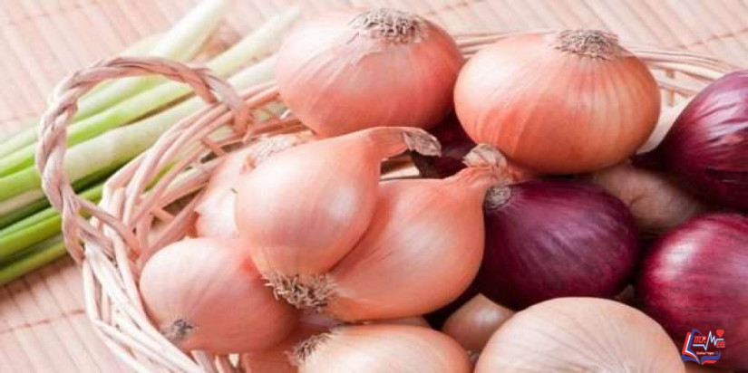 فوائد البصل الصحية والجمالية
