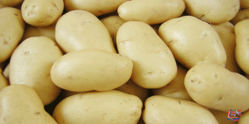 رجيم البطاطس المسلوقة لإنقاص 5 كيلو في أسبوع