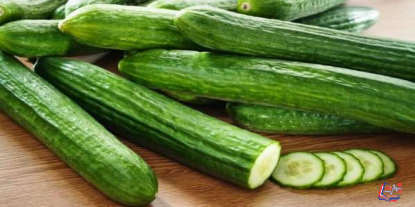 فوائد الخيار للصحة والبشرة والحامل وهل له أضرار؟