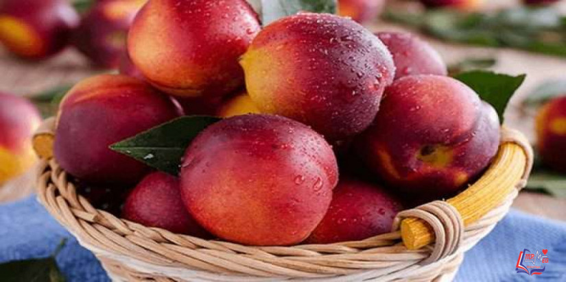 انفوجرافيك  الفوائد الصحية للخوخ