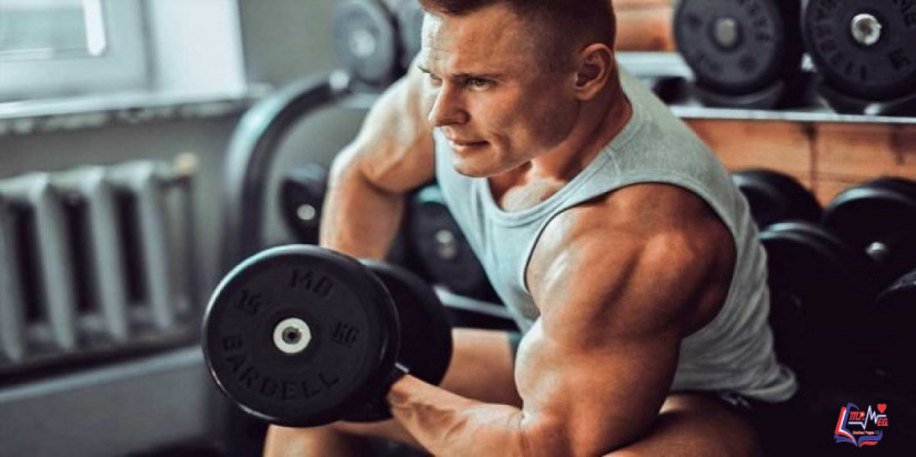 عضلة الباي أو العضلة ذات الرأسين.. وأنواع مختلفة لأهم تمارين الباي