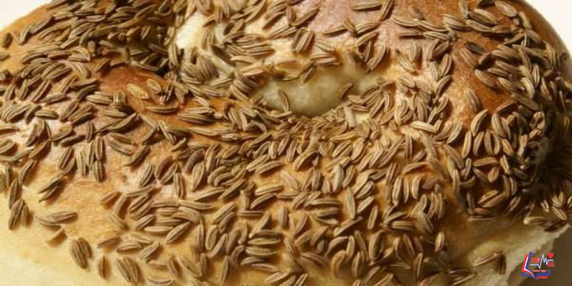 طريقة تحضير خبز الكراوية والزرشك بطريقة صحية