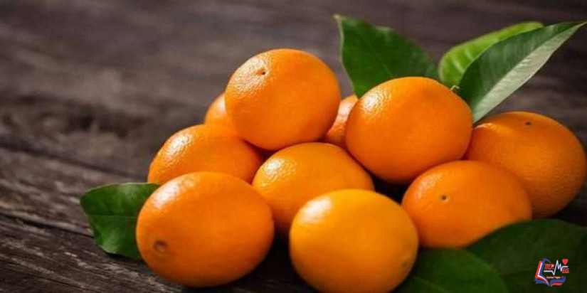 انفوجرافيك  تعرف على فوائد البرتقال