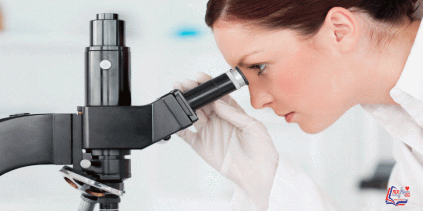 تحاليل الحمل في الشهر الأول