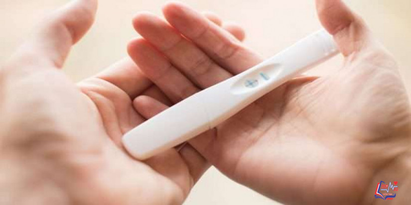 تحليل البول للحمل