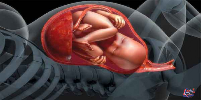 أسباب كيس الحمل الفارغ