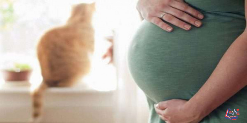 ما هي جرثومة الحمل