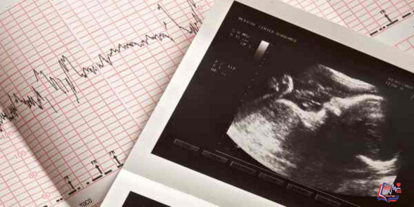 كم عدد نبضات قلب الجنين الذكر