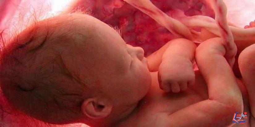 كيف يخرج الجنين الفضلات
